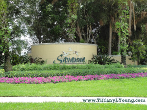 Savanna Homes for Sale in Weston