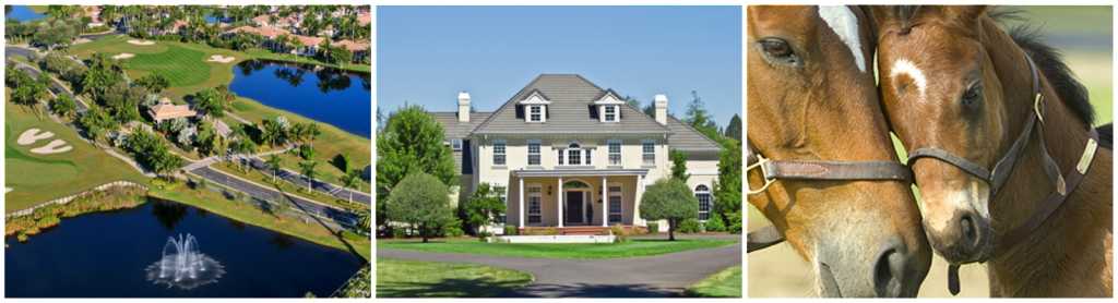 Oak Hollow Estates Homes