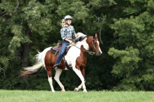 southwest ranches equestrian homes for sale