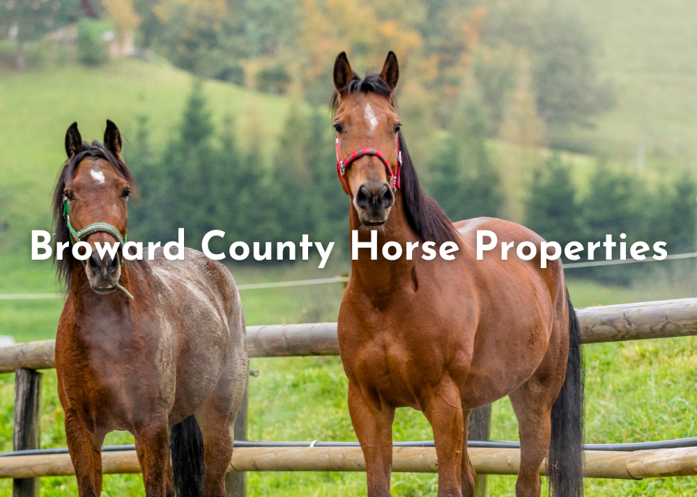 Broward County Horse Properties