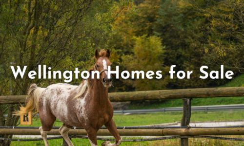 Wellington Homes for Sale