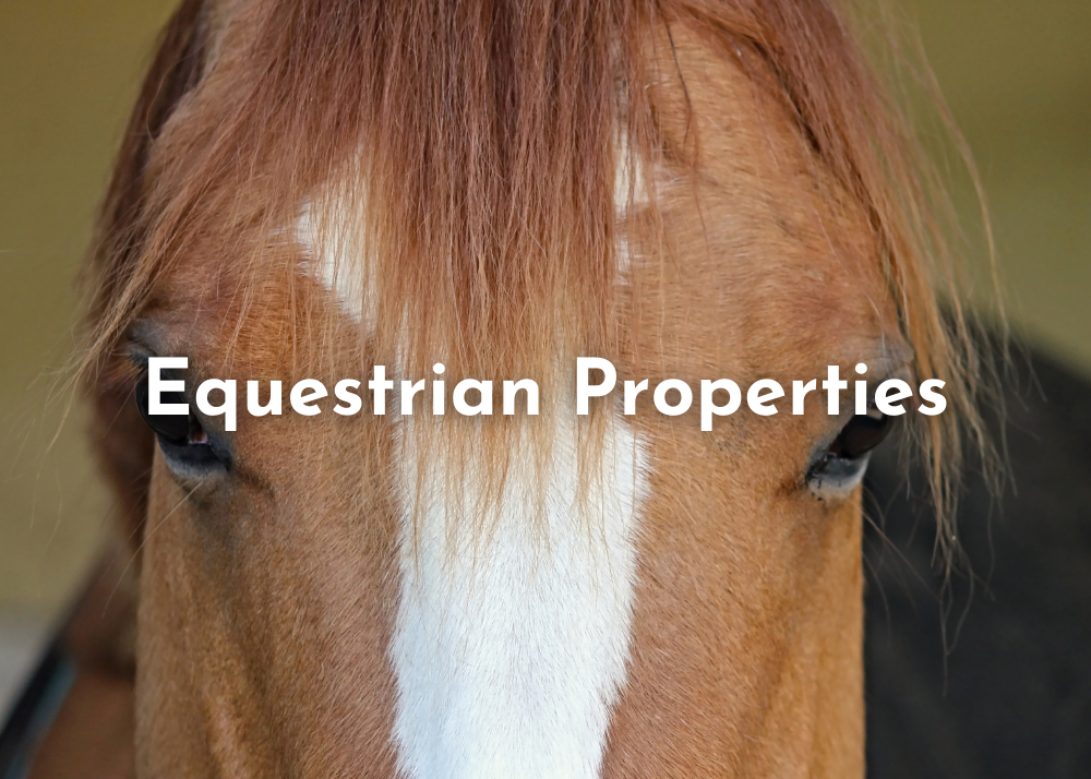 South Florida Real Estate South Florida Luxury, Golf Course