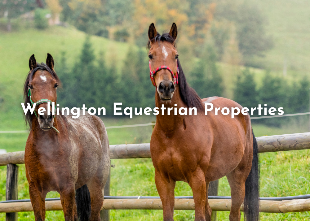 Wellington Equestrian Properties
